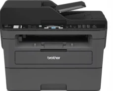 Brother MFC-L2710DW (MFCL2710DWG1)