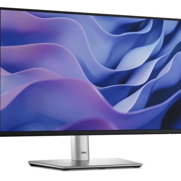 Dell Monitor P2425 24" (210-BMJD/5Y)