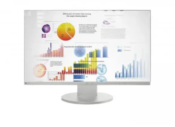 Eizo FlexScan EV2450-GY 24" szary
