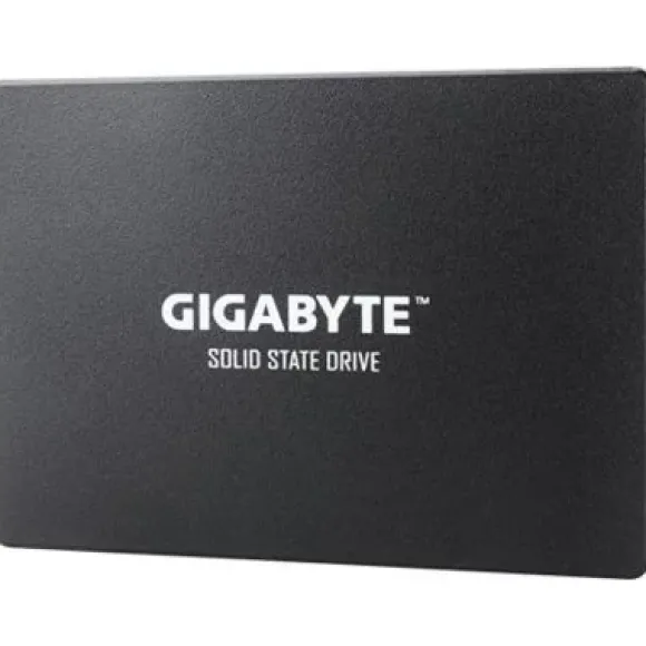 Gigabyte SSD 1TB (GP-GSTFS31100TNTD)