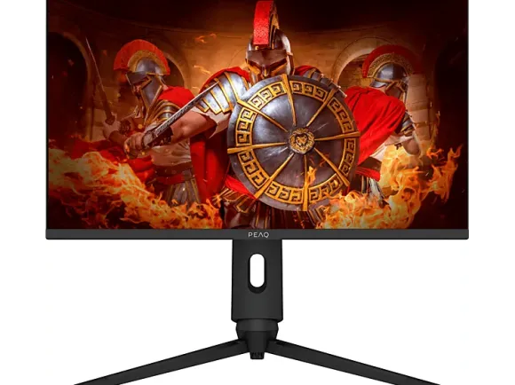 PEAQ PMO G241-FFK 24 FHD VA 165Hz