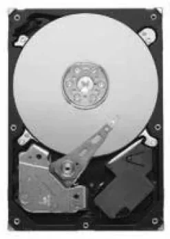 Seagate ST3320310CS