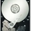 Seagate ST31000340NS